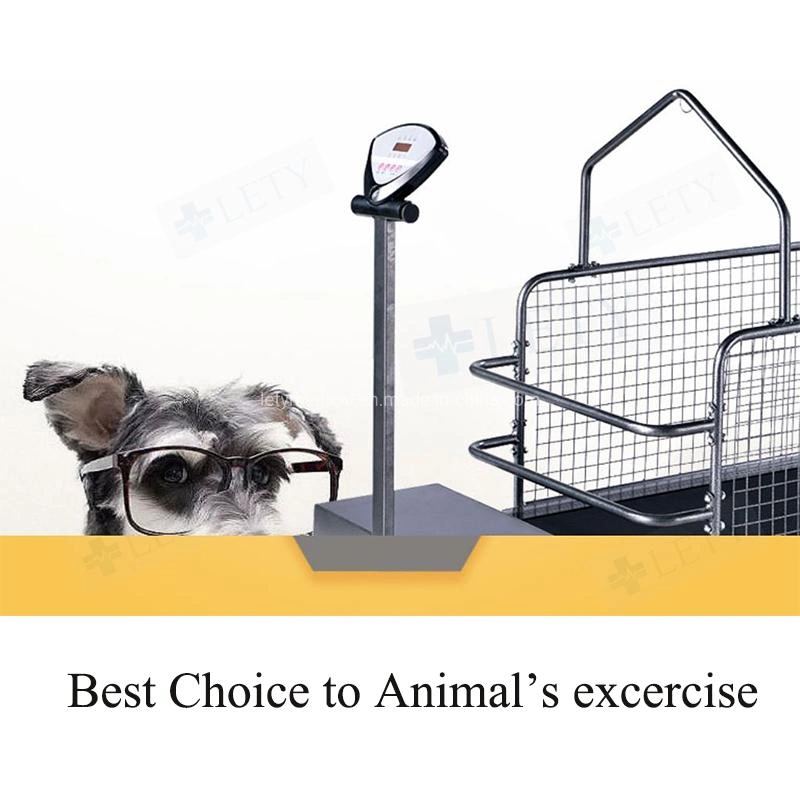 Factory Price Dog Training Treadmill for Dog Running Dog Walking Treadmill