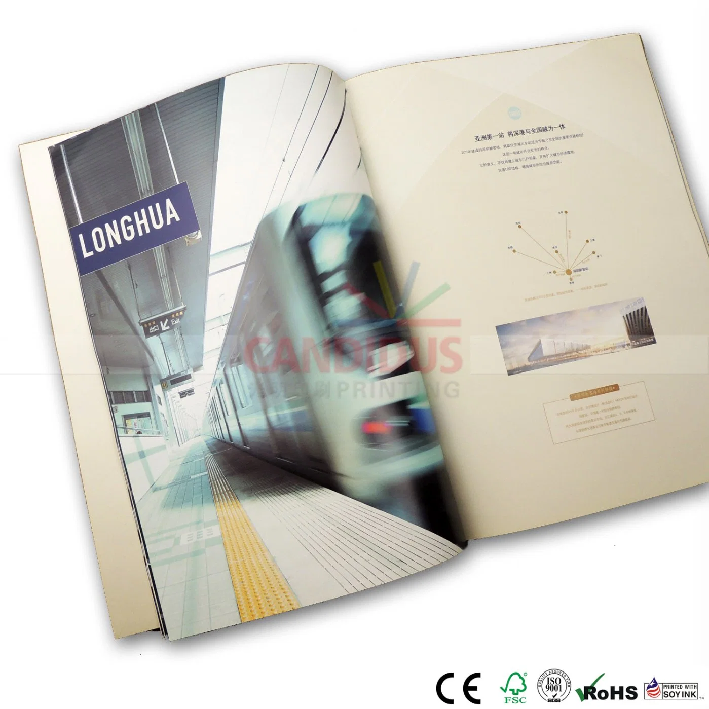 Catalog Booklet Manual Book Brochure with Full Color Printing