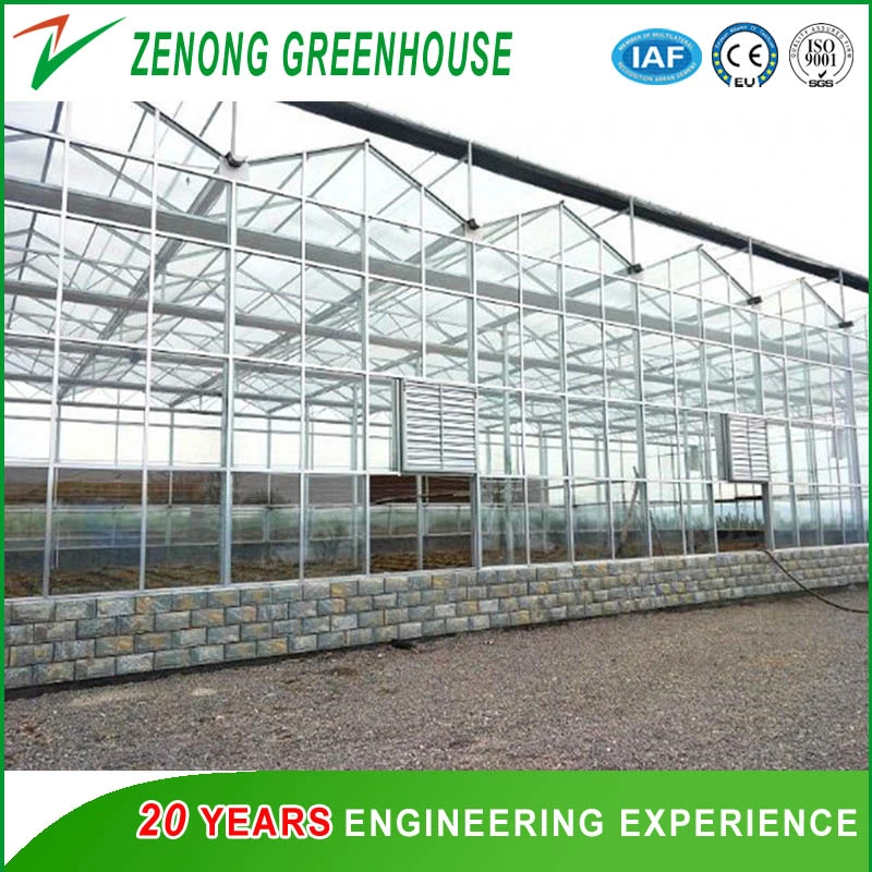 Glass Greenhouse for Exhibition/Seed Breeding/Ecological Restaurant/ Scientific Research