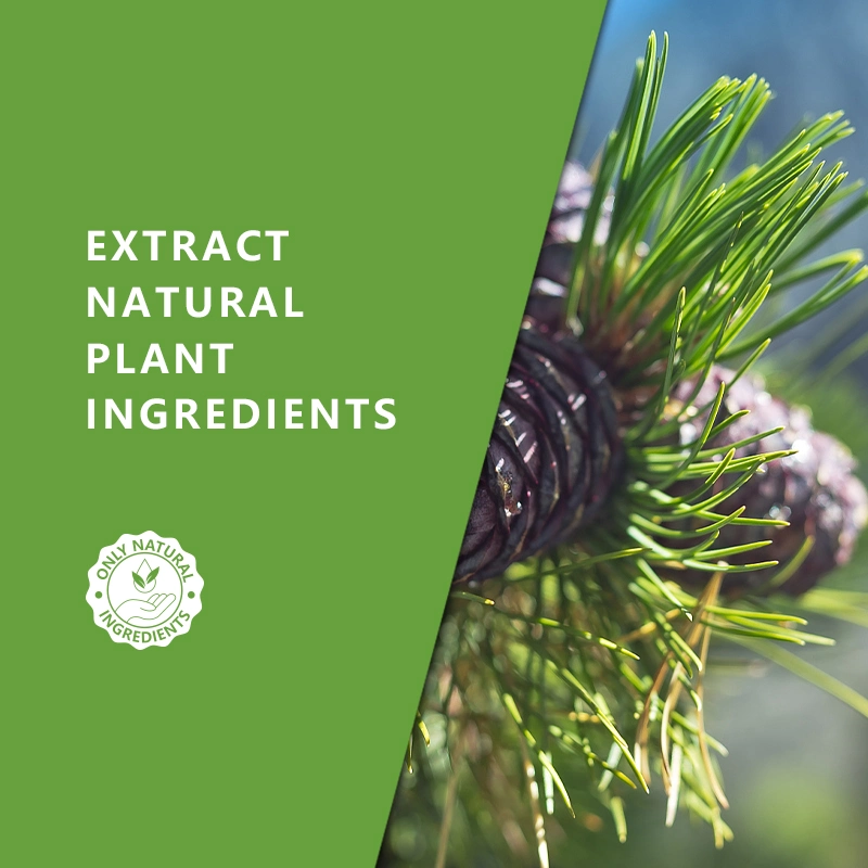 HL- Natural Plant Extract الأرز الخشب زيت أساسي مصنّع، زيوت عطرية غنية بالأثراء من السيدروس الديودورا للزيوت العطرية للعلاج بالعطور، طارد طارد للحشرات