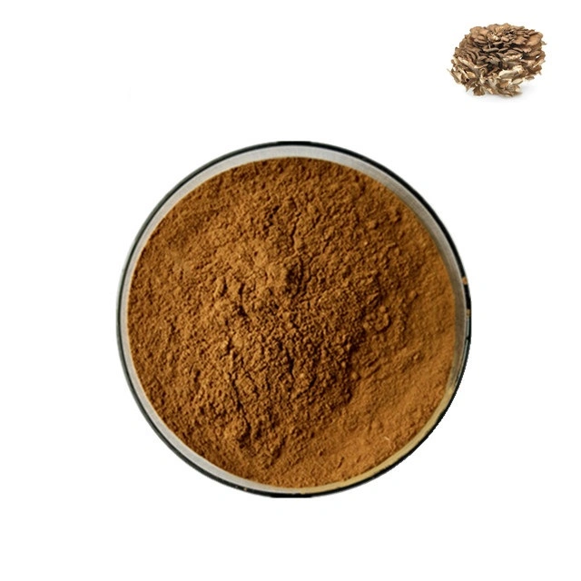 Organic Grifola Frondosa Polysaccharide Extract Powder Maitake Mushroom Extract