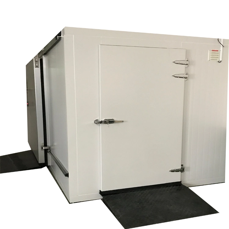 Commercial Walk in Freezer and Cooler Cold Room Price