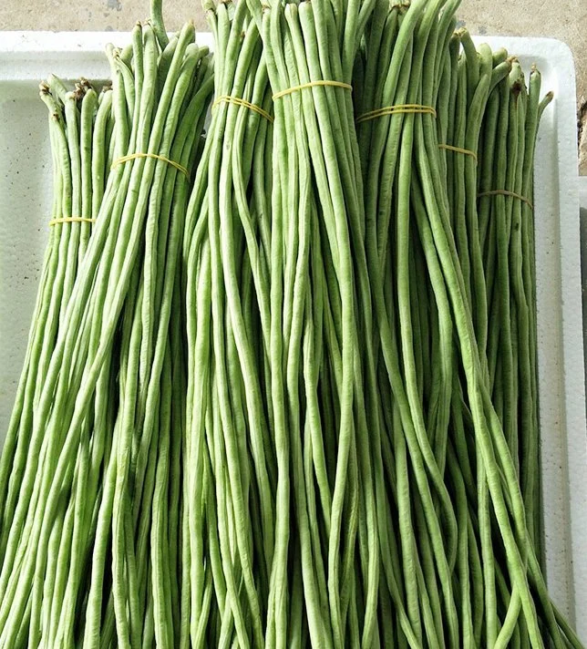 Tiras gruesas semillas de guisantes de piel verde y tierna