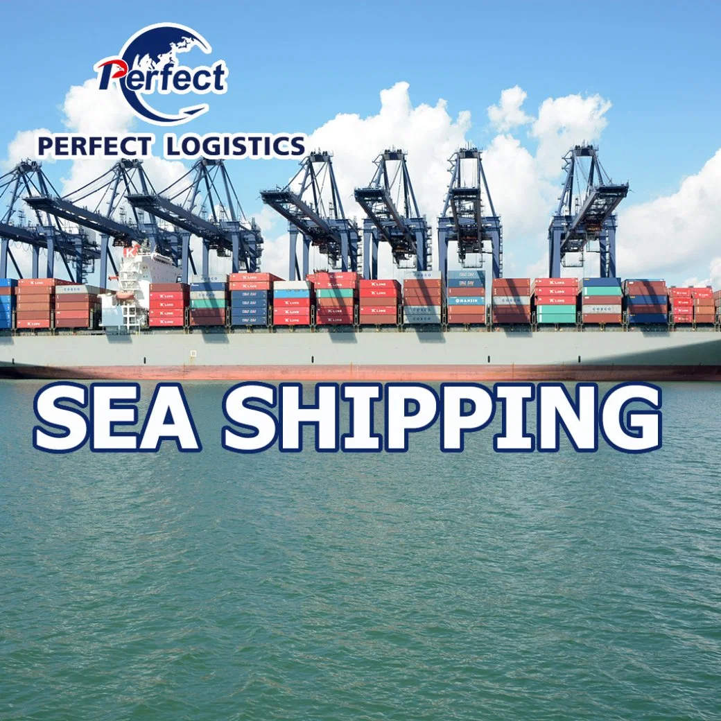 Ocean Cargo Consolidation Shipment Agent From Shenzhen China to Italy/Spain/Slovakia/Slovenia