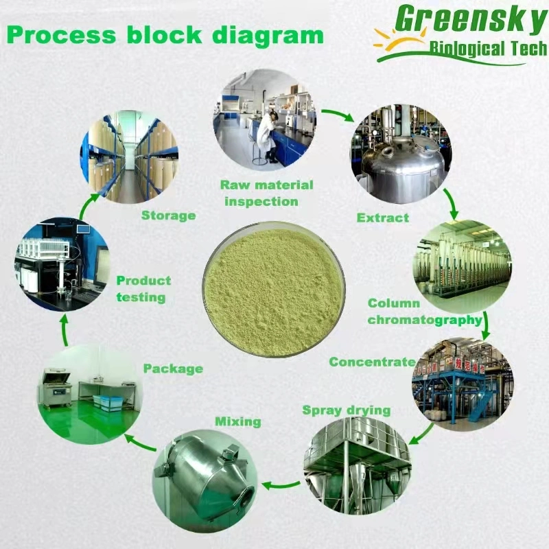 Extracto de plantas hierbas Extrat Diosmin 9: 1 Granular, Ep gránulos de extracto de un producto natural flavonoides, sustancias de drogas de la arteria varicosas