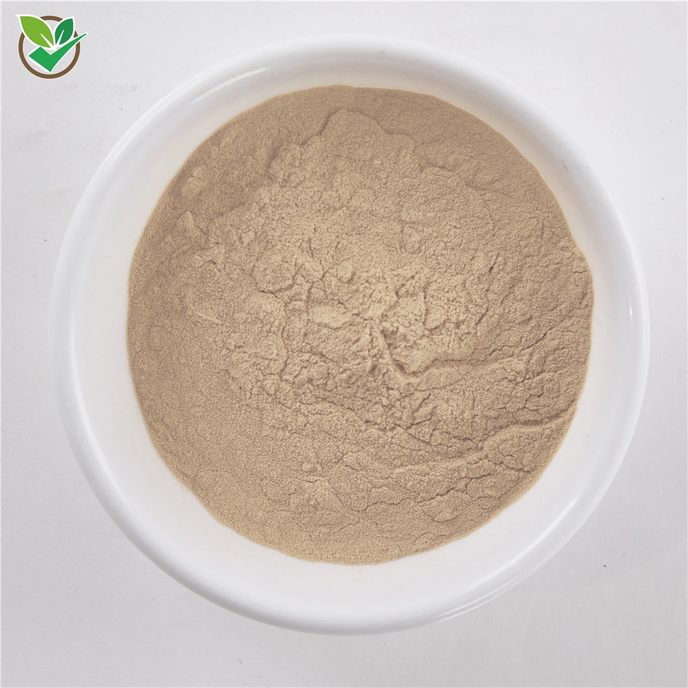 100% Organic Amla Powder Bio Dried Amla Powder Amla Fruit Extract Powder