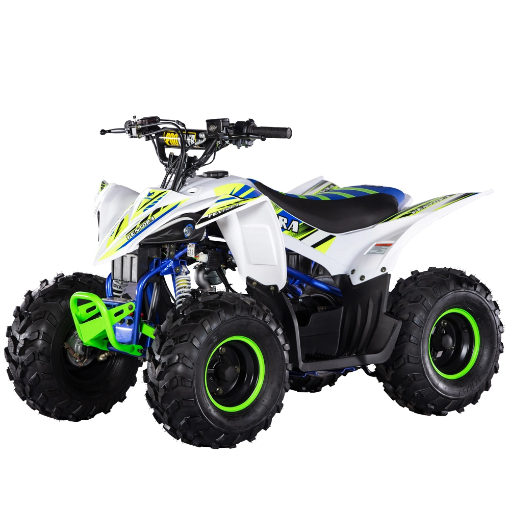 2022 Hot 110cc Quad ATV Racing Quads, Pentora diseño 110L