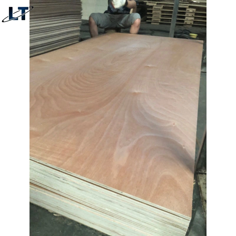 Linyimany Types Construction Decoration Maple Hardwood Wood Timber