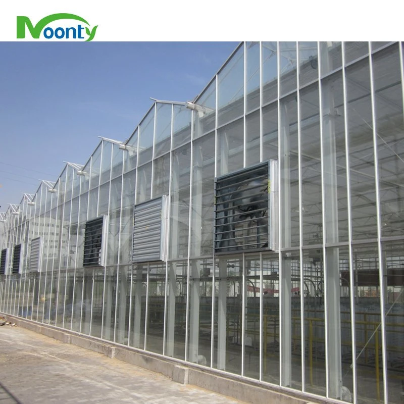 Intelligent High quality/High cost performance Agricultural Glass Greenhouse with Auto Control System