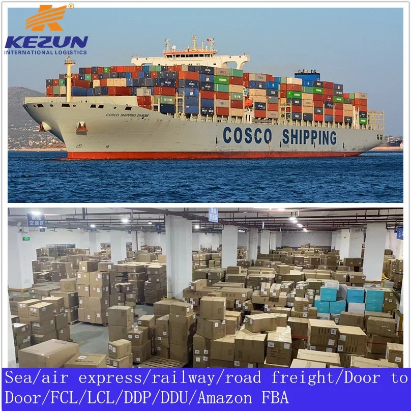 1688/Alibaba Container Shipping Forwarder Sea Freight Agent From China to Iraq with Customs Clearance Best Price