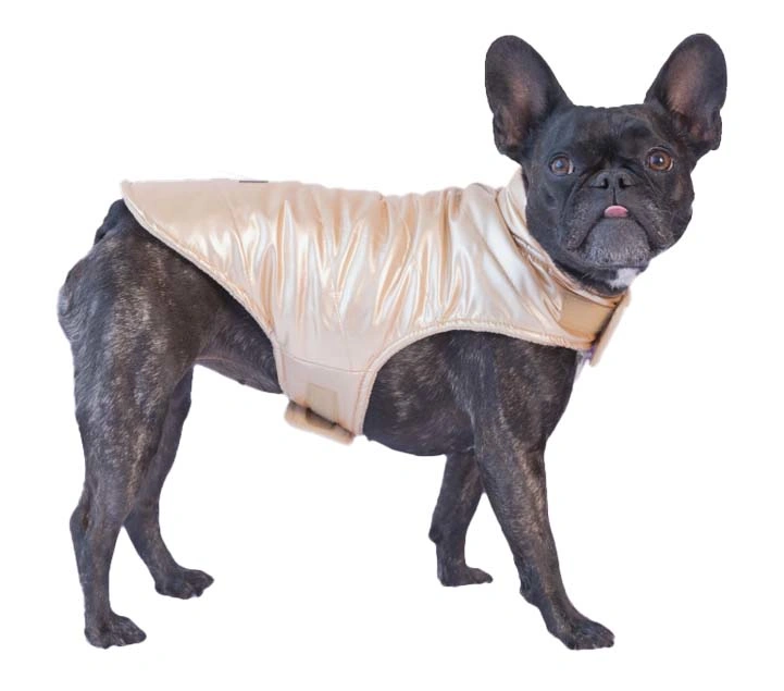 جولدن وينتر كلب كيلتينج مبطن بفيلكرو جاكيت بملابس الحيوانات الأليفة