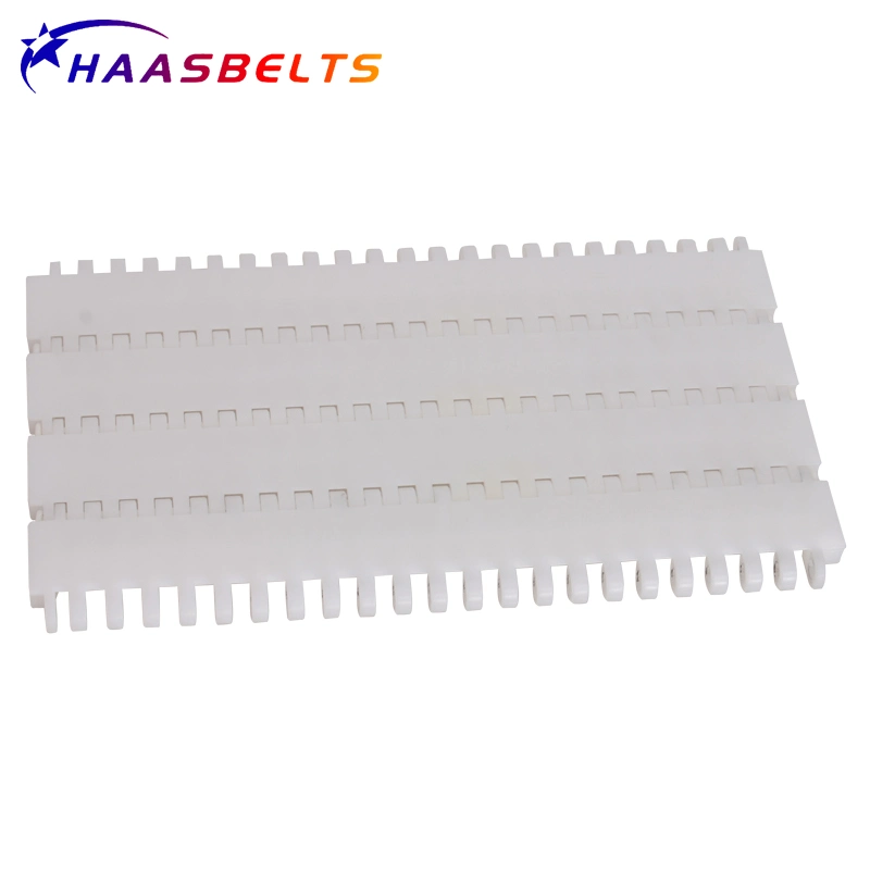 Haasbelts Chains Flat Friction Top 900 Plastic Modular Belt