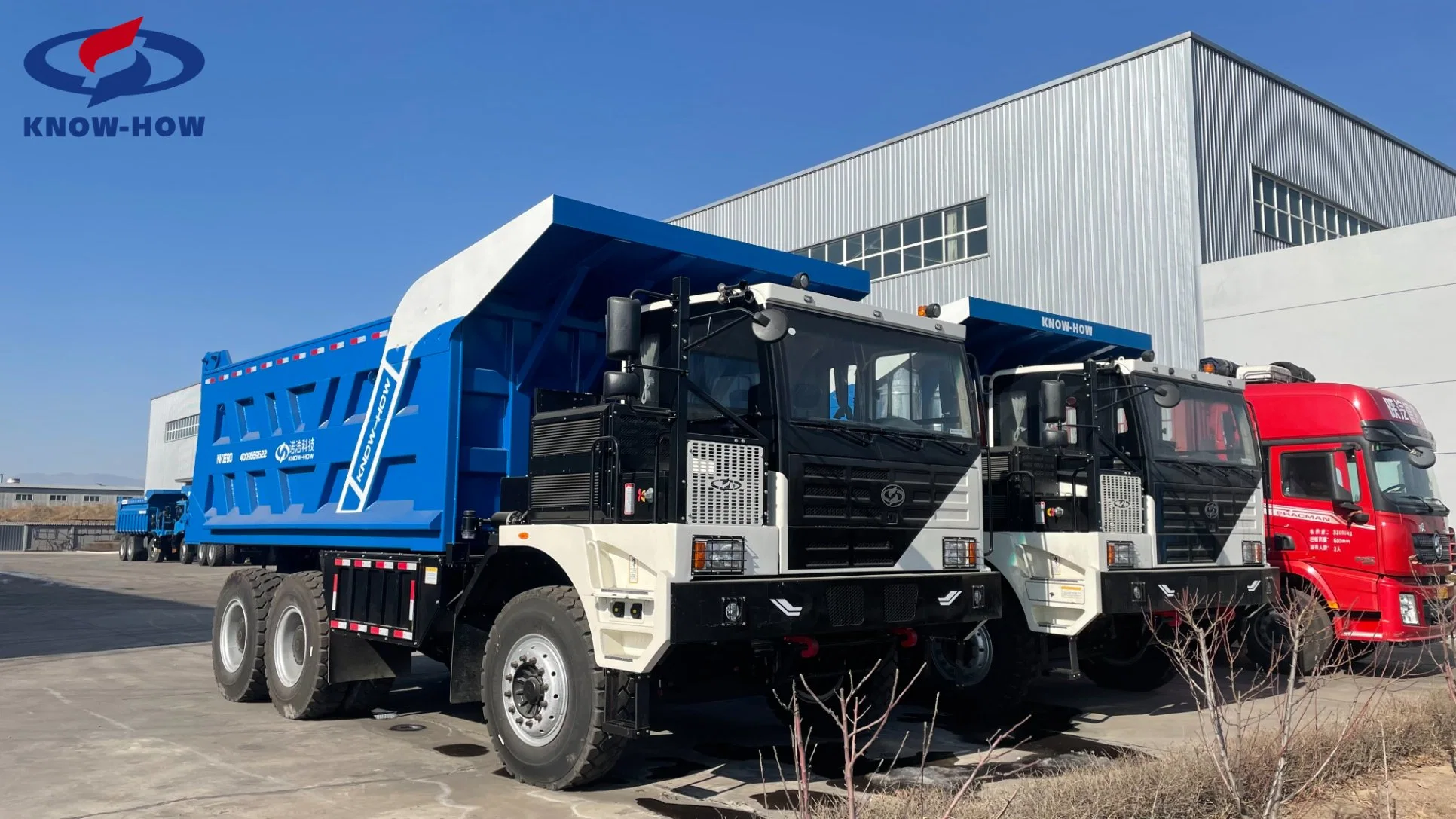 40 Cbm~60 Cbm Capacity Customized Truck for Sale Heavy Loading