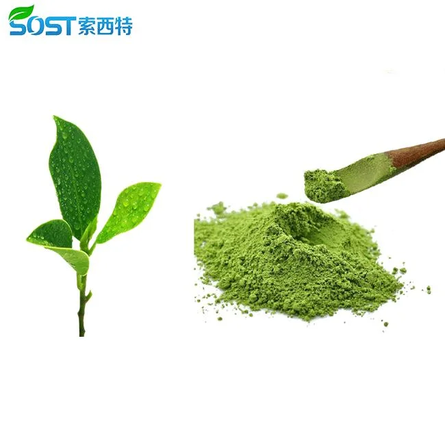 Xi`an SOST Supply Halal Approved Organic Matcha Powder Green Tea