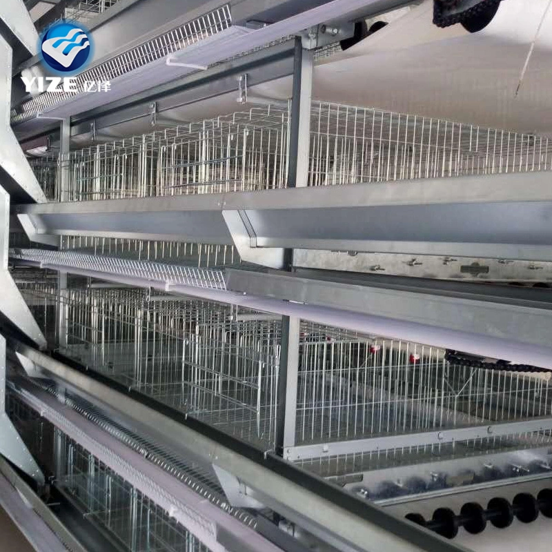 Cage d'oeufs de poulet ferme avicole/ pour les couches des cages en batterie