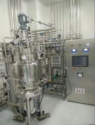 Laboratory Biological Laboratory Glass Bioreactor 10L Chemical Reactor