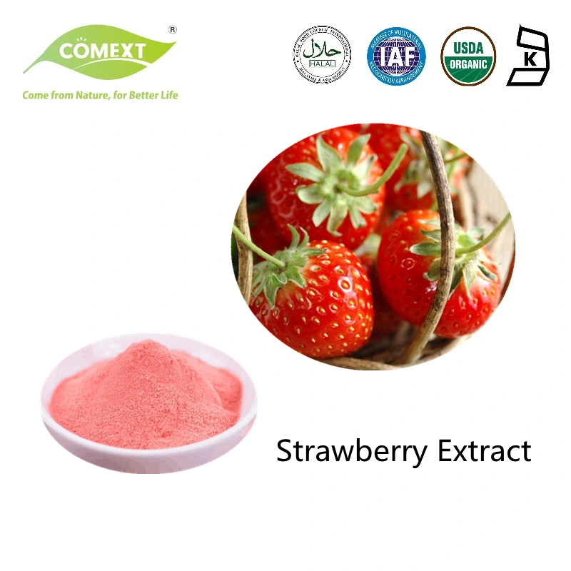 Comext Wholesale/Supplier Bulk Price Spray Dried Water Soluble Strawberry Juice Powder Extract