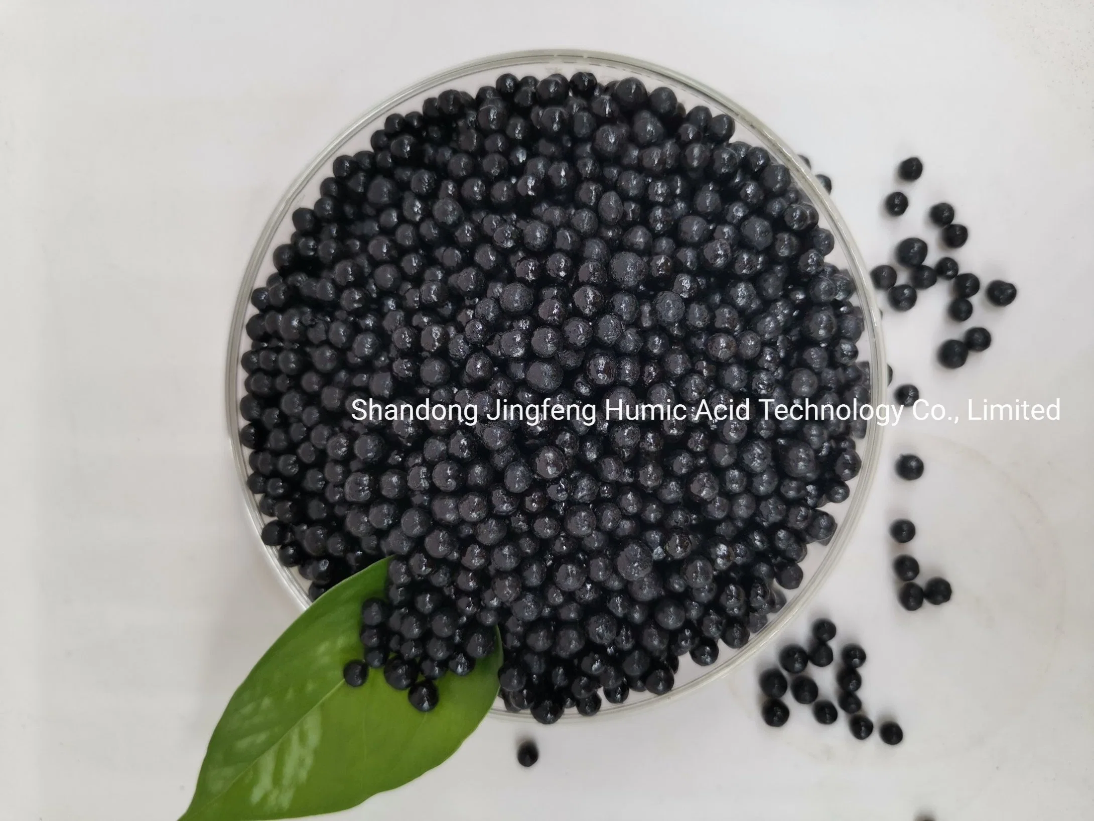 Leonardite Extract Humic Acid NPK Granular Insoluble Organic Granule