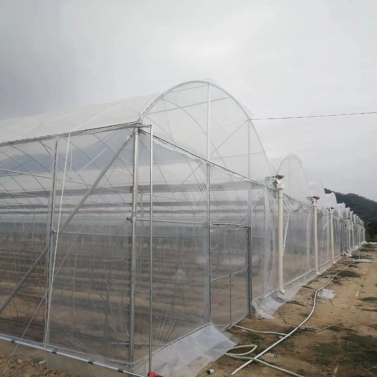 Premium Quality Sustainable Gardening UV Resistant Film Transparent for Greenhouse Roofing Agriculture Low Cost
