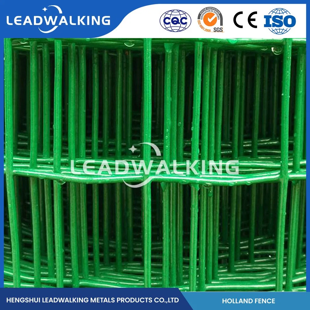 Leadwalking Galvanised Weld Mesh Rolls Factory Wholesale/Supplier Welded Wire Mesh with Plastic Coating for Animal Cage China 30X30mm PVC Coated Holland Welded Wire Mesh