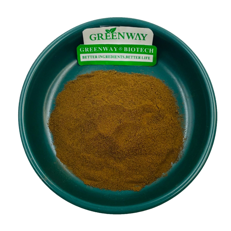 Pure Natural Food Additive Sage Leaf Extract Bottom Carnosic Acid CAS 3650-09-7