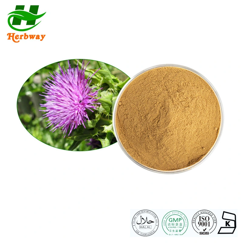 Herbway 100% من استخراج النباتات الطبيعية Kosher Halal Fsc HACCP معتمد من Silybum Marianum (L.) مستخرج Gaerth Milk Thistle