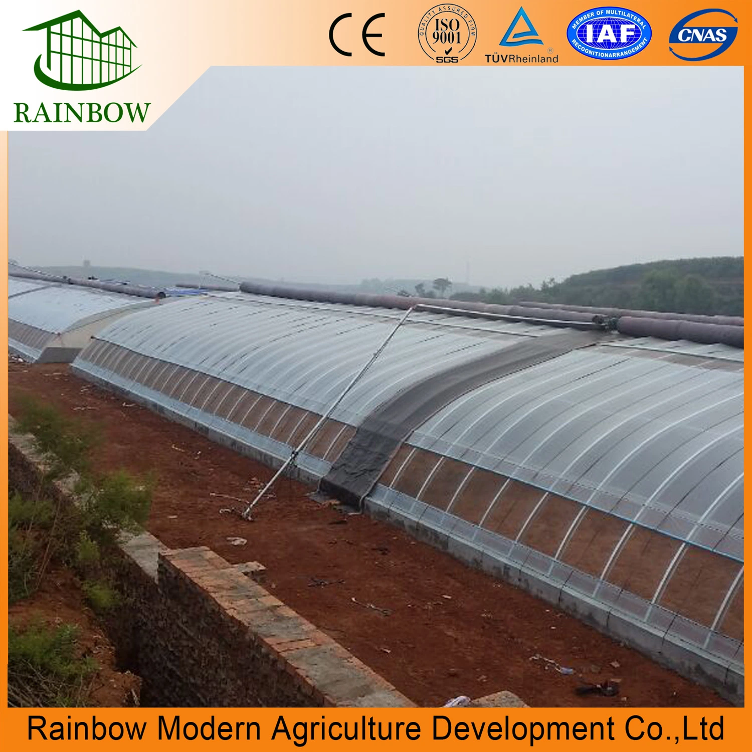 Low Cost Commercial Greenhouse for Vegetables