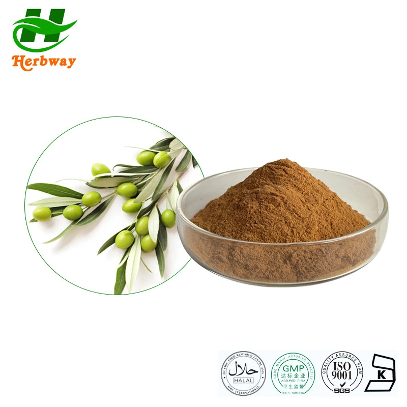 Herbway Factory Direct Sale Competitive Price Protect Skin Hydroxytyrosol Extract Oleuropein Oleanic Acid Olive Leaves Extract