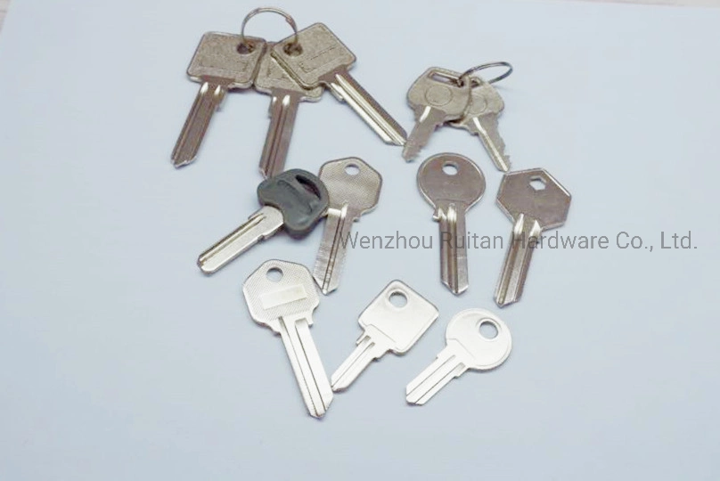 Blank Key for Customizing Accdording to Customers Used for Door