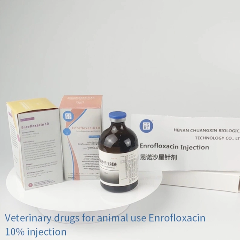 Veterinary Injection Hot Selling Supply Enrofloxacin Injection 100ml 10g for Livestock and Poultry