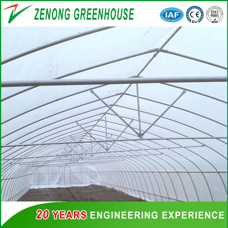 Good Quality Small Greenhouses with Ventilation/Film Rolling Device for Vegetable/Flower Cultivation