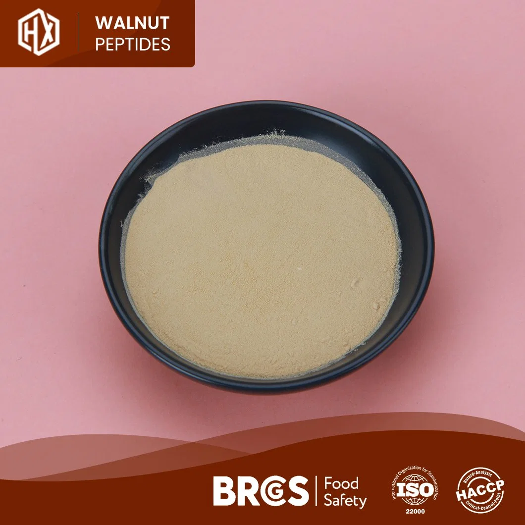 Haoxiang High-Quality Healthcare Supplement Walnut Peptide Factory Sale Directly Food Additives Wholesale/Supplier Walnut Peptide Powder Collagen in Beauty Products