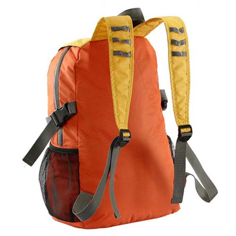 Wholesale/Supplier Leisure Outdoor Sports Travel Climbing Hiking Rucksack Backpack Bag