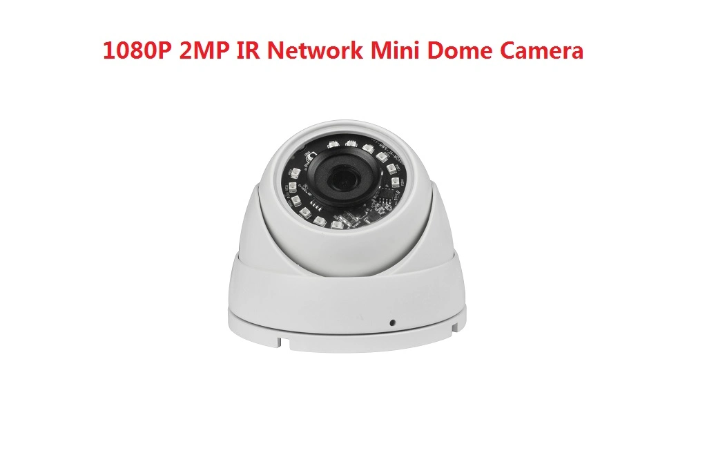 Fsan 2MP Infrared Outdoor Waterproof HD Network Metal Dome IP Camera