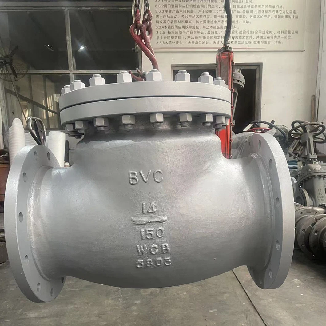 for Sale API Wcb SS316 CF8m Flange Swing Check Valve for 10 Inch