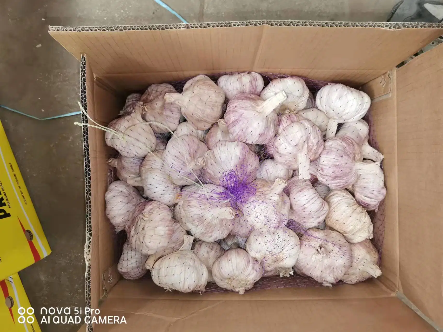 Factroy Supplier Fresh Normal White Pure White Garlic From Shandong China 4.5-7.0cm up Packed in Cartons or Mesh Bags White Red Color High Quality