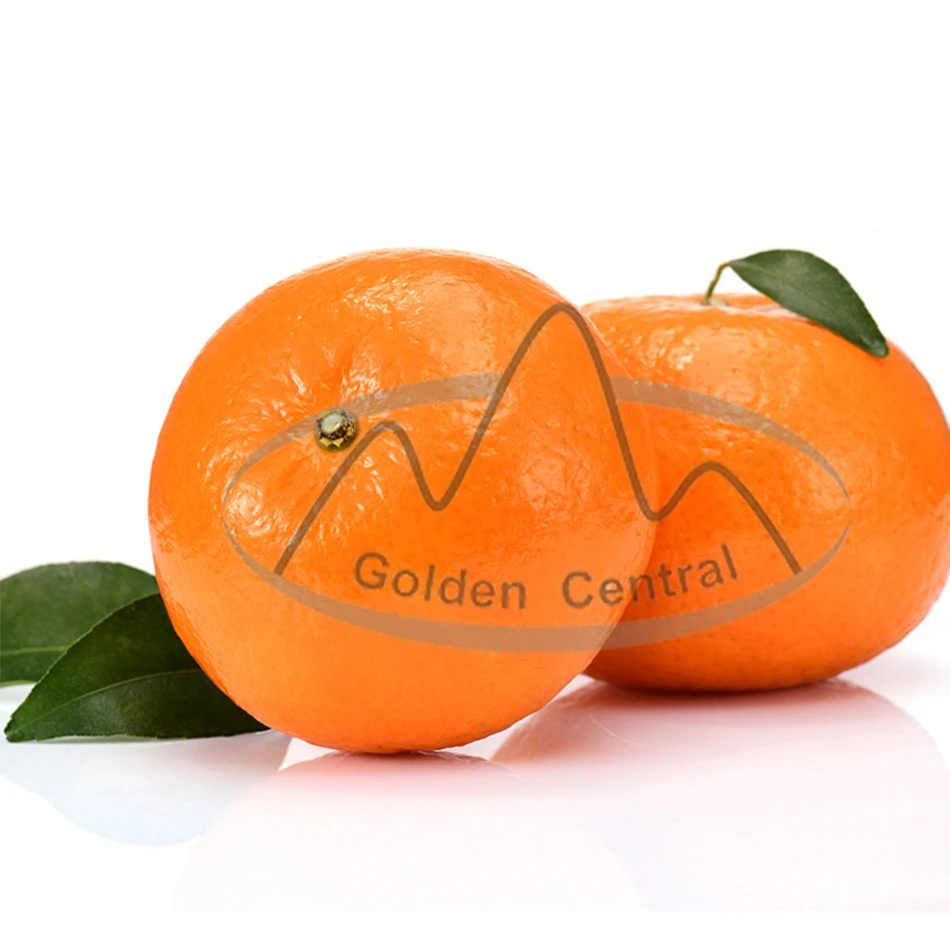 High Quality Natural Fresh Orange Wogan Sale to Overseas