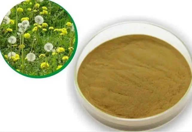 Dandelion Extract Power with Flavonoids