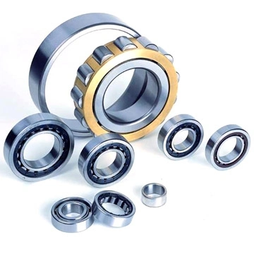 Cylindrical Rolling Bearing for Motorcycle/Auto/Machinery Parts (NU206ECP/C3)