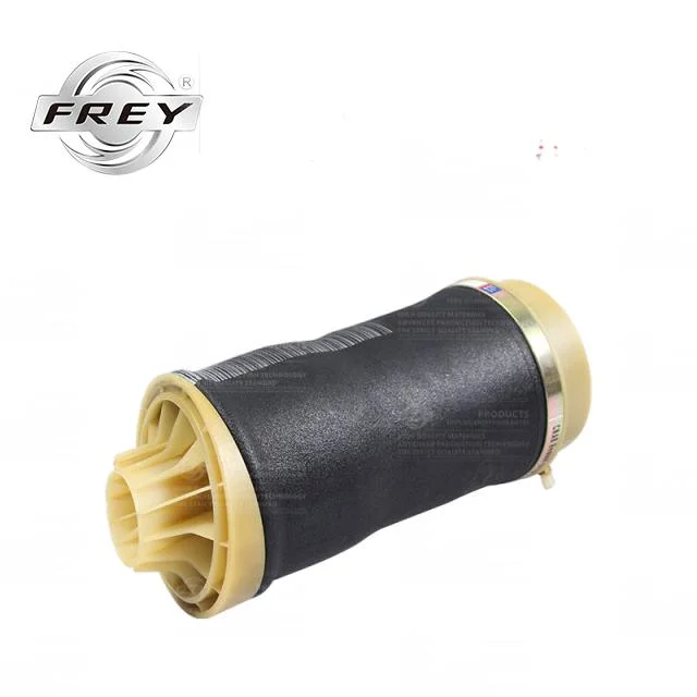 Frey Auto Parts Shock Absorber Air Suspension 2513200425 for Mercedes Benz W251