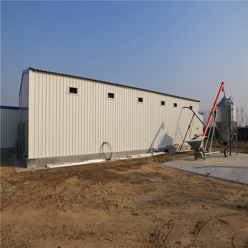 Light Factory Price Self Quick Built Steel Structure Poultry Equipment