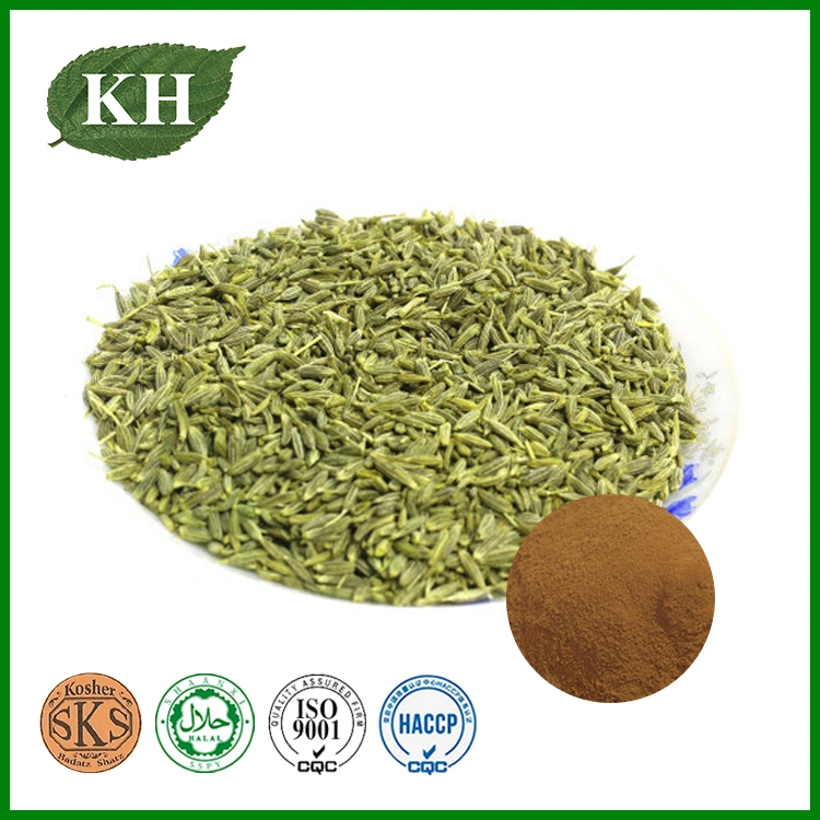 Natural 10: 1 Fennel Seed Extract