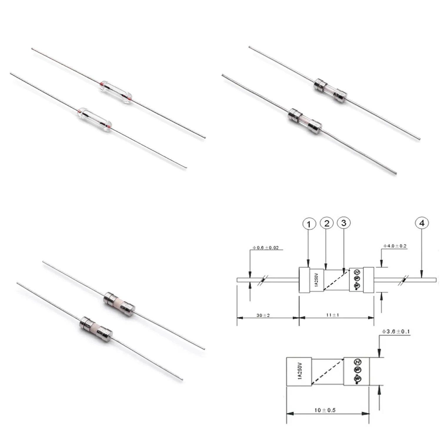 3.6*10mm 5 x20mm 6*30mm 0,5 a 1 A 2 A 3 a 5 A 6 a 10 A 15 A 20 A 25A Cartucho fusible del tubo de vidrio cerámico