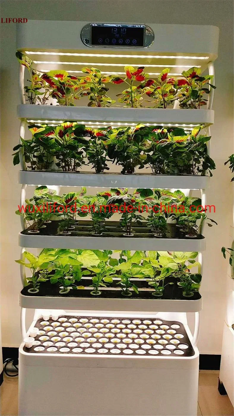 Sichere tragbare professionelle Smart Farm LED Hydroponics Systeme für Salat