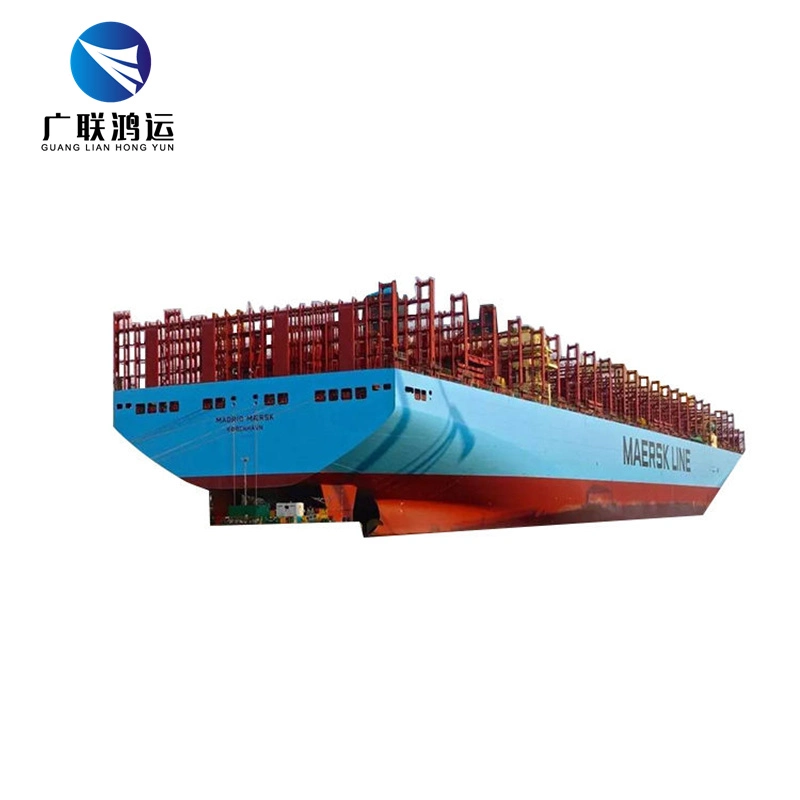 Professional Ocean Freight Forwarder Sea Shipping DDP From China to Canada Amazon Fba