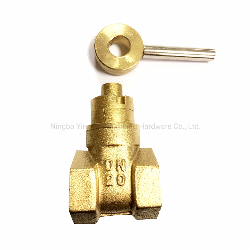 Brass Magnetic Lockable Gate Valve Manufacturer (HG25)