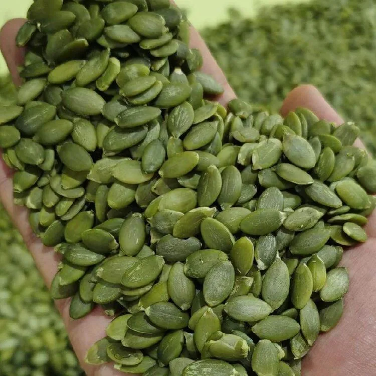 Inner Mongolia Pumpkin Seed Shine Skin Pumpkin Seeds Kernels Wholesale/Supplier Price