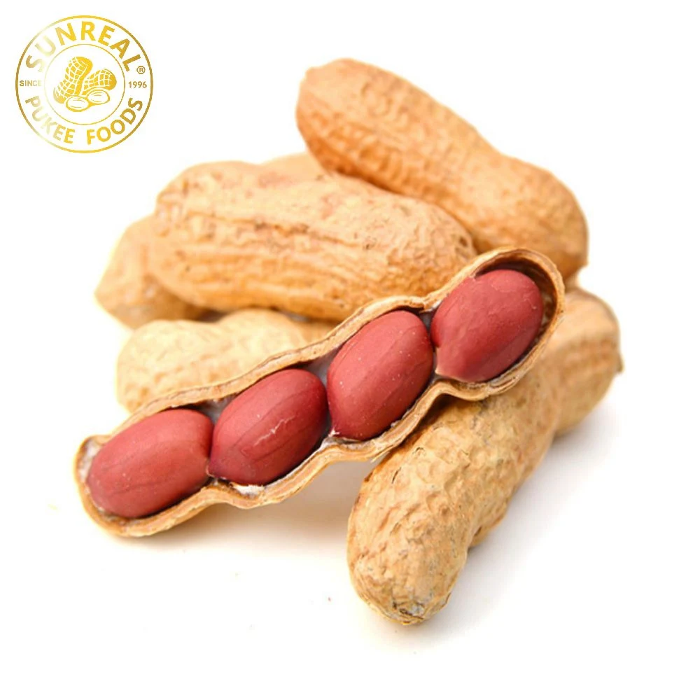 China Raw Red Skin Peanut in Shell/Superior Quality/ Vacuum Inner Bags