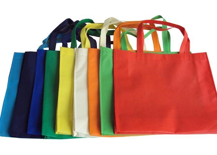 Shopping Carrier Shoulder Fashion Laminated Grocery PP Woven Bag