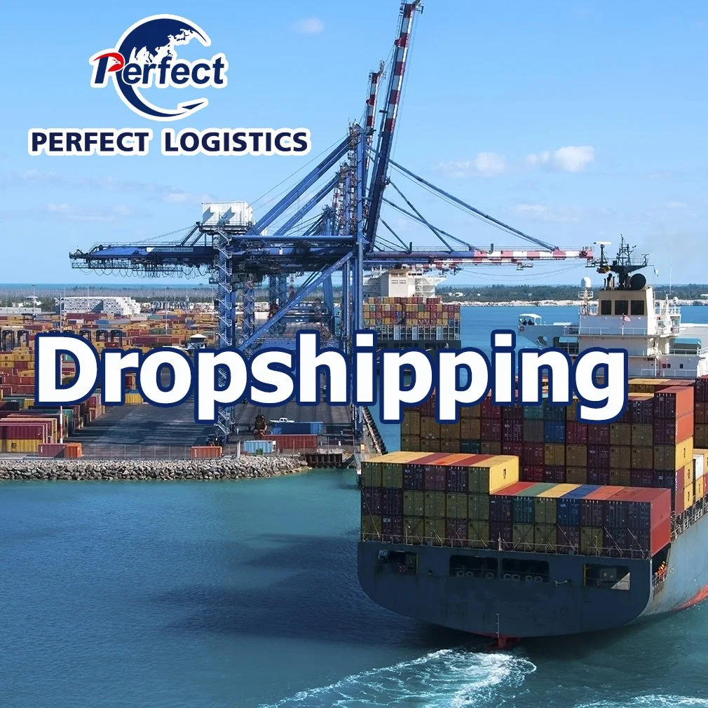 Mar Freight Forwarder con tarifas de envío de contenedores baratos de Shenzhen y Guangzhou/Yiwu China Ocean Shipping/Bulgaria Bélgica